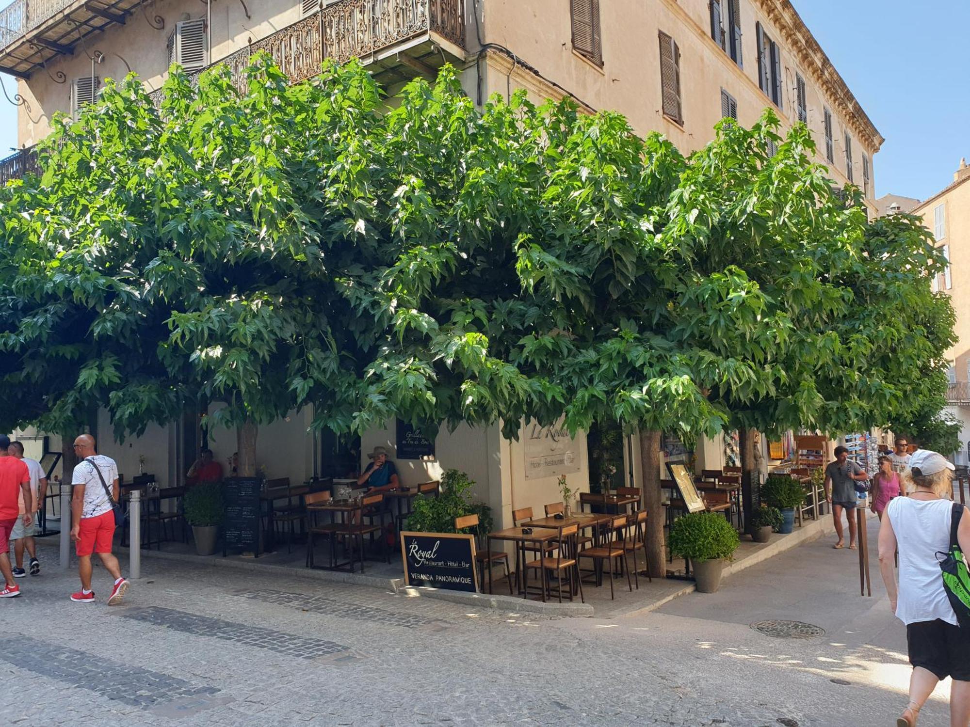 Le Royal Hotel Restaurant Bonifacio  Εξωτερικό φωτογραφία